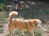 Pension_20