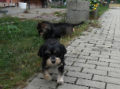 Pension_21