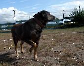 Pension_22