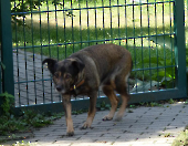 Pension_24