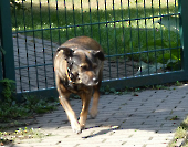 Pension_25