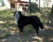 Pension_25