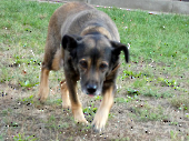 Pension_27