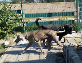 Pension_27