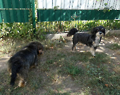 Pension_2