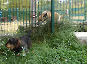 Pension_30