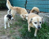 Pension_34