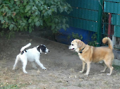 Pension_35