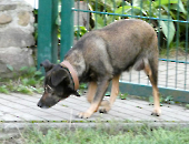 Pension_3