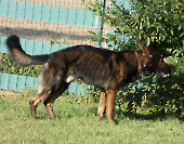 Pension_40