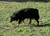 Pension_40