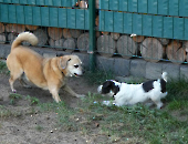 Pension_41