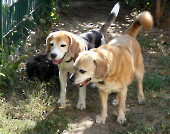 Pension_41