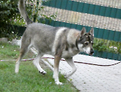 Pension_43
