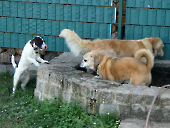 Pension_47