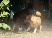 Pension_4