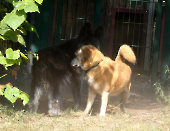 Pension_5