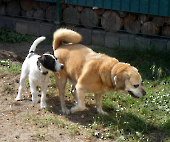 Pension_5