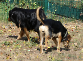 Pension_5