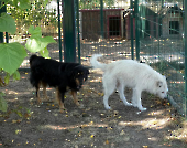 Pension_65