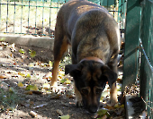 Pension_68