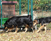 Pension_6