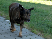 Pension_70