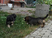Pension_78
