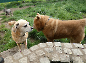 Pension_23