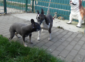 Pension_29