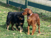 Pension_2