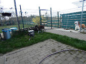 Pension_33