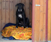 Pension_43