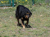 Pension_46