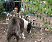 Pension_48