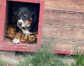 Pension_54