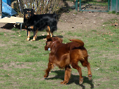 Pension_5
