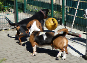 Pension_63