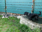 Pension_12