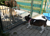 Pension_1