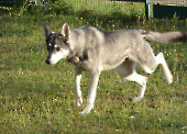 Pension_23