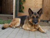 Pension_28