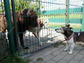 Pension_2