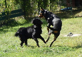 Pension_3