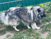 Pension_46