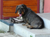 Pension_58
