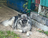 Pension_72