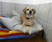 Pension_51