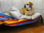Pension_8