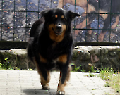 Pension_10